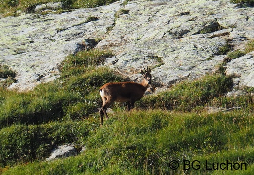 Article 2008 Randonnée Cirque des Crabioules 23