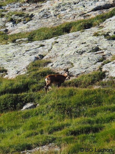 Article_2008_Randonnée_Cirque des Crabioules_23.JPG