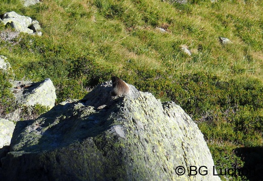 Article 2008 Randonnée Cirque des Crabioules 25