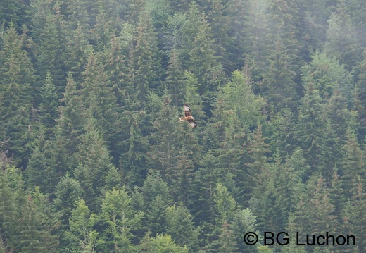 2108 AFDV MS Cabane 07 (302 visits) 2108 AFDV MS Cabane 07