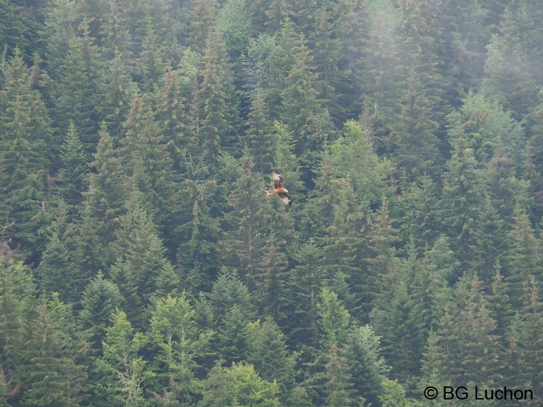 2108 AFDV MS Cabane 07
