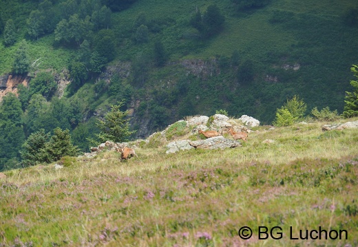 2108 AFDV MS Cabane 09 (280 visits) 2108 AFDV MS Cabane 09