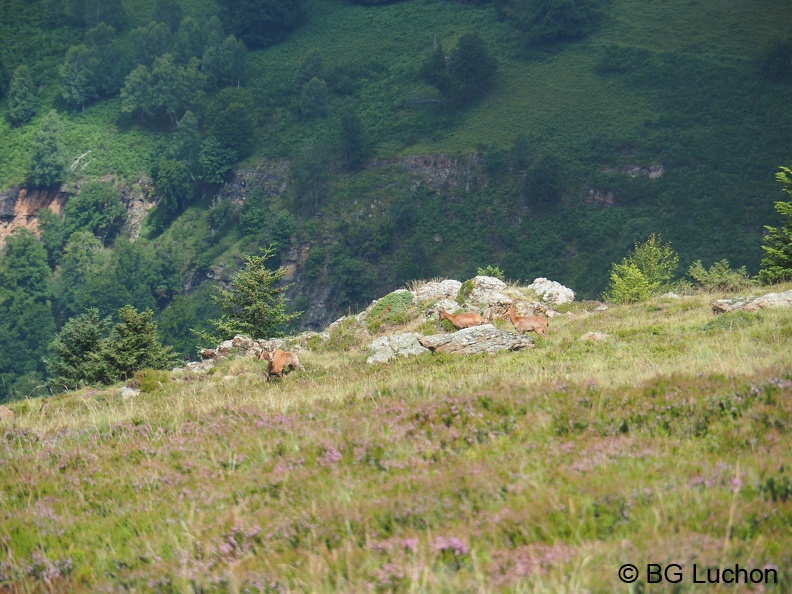 2108 AFDV MS Cabane 09