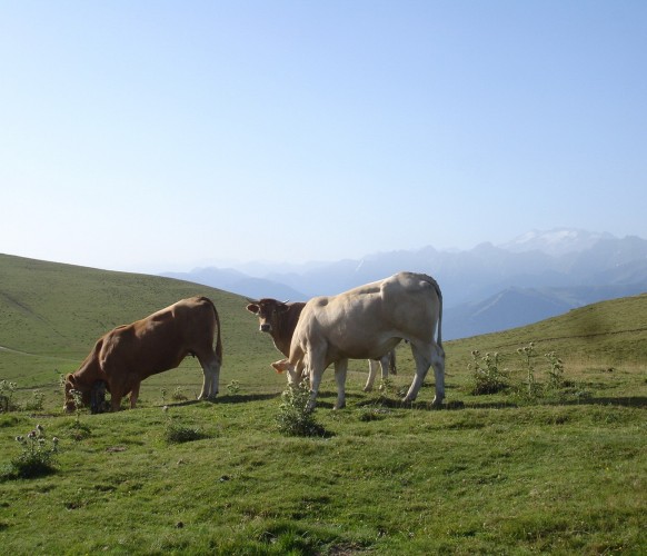 rando Port de Bales_03