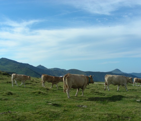 rando Port de Bales_07