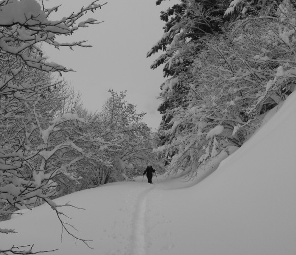 Sortie_Raquettes_Cabane_Cires_01