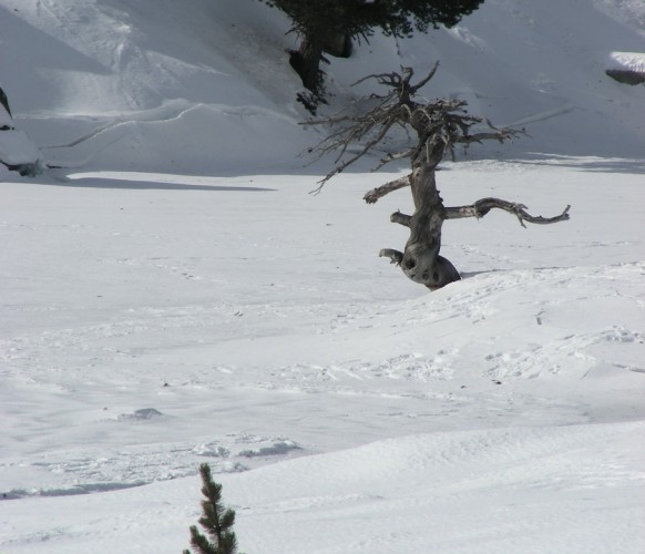 Sortie_Raquettes_Tuc_Baciver_BG_00