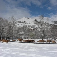 article_1 ere neige 2015_BG_06