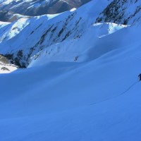 Cecire Jan16_00