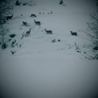 article_1803 Rencontres d'Hiver_04