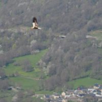 Bureau des guides de Luchon - Passeurs de montagne depuis 1872