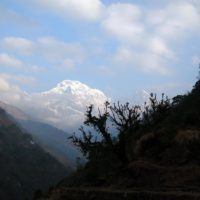 Trek - Nepal 13j-12n_rek Mardi Himal_07