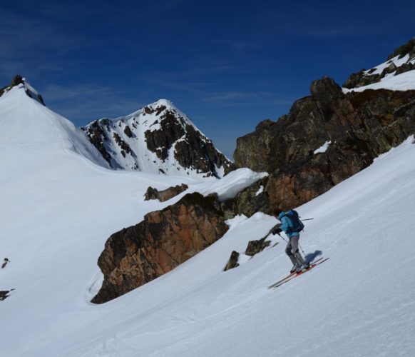 BOG_6961