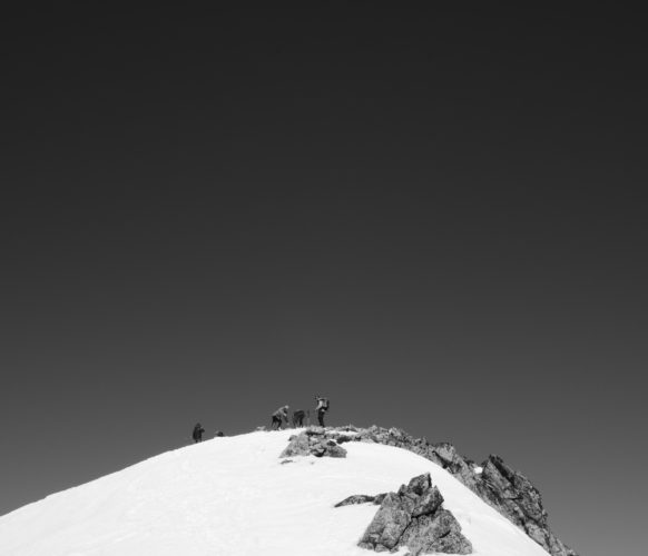 BOG_7339