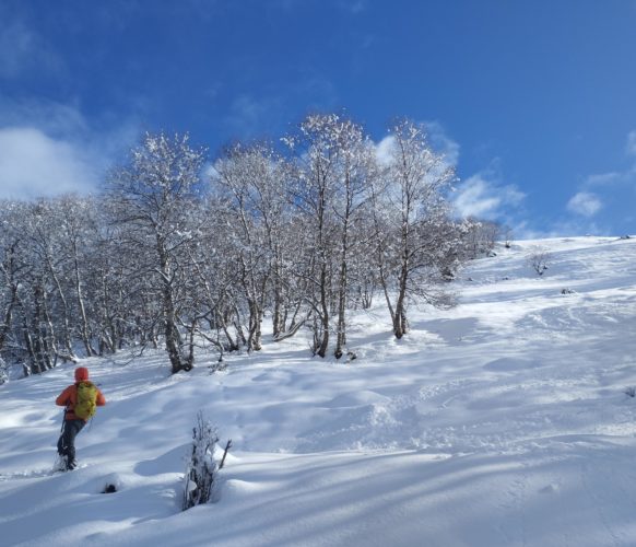 IMG_20260122_131848
