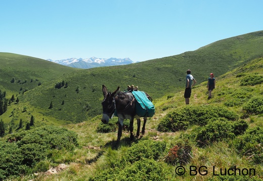 Rando âne - Journée - Tour Oueil / Espiau